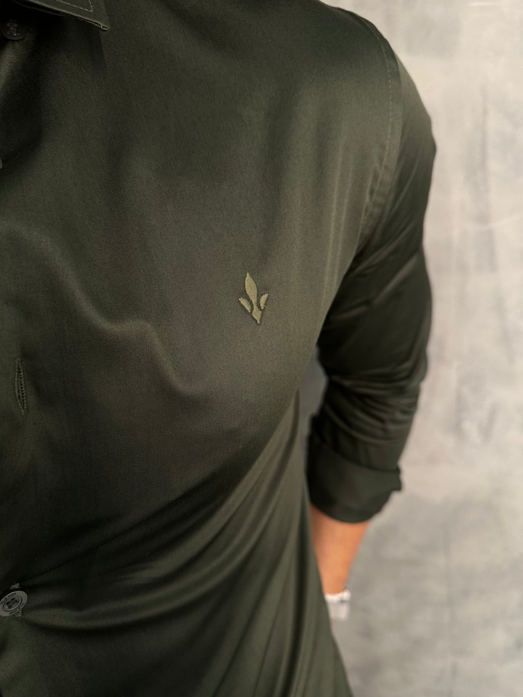 CAMISA ALGODÃO EGÍPCIO SLIM SELECT M/L DLZ VERDE CIPRESTE